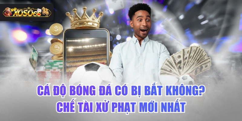 Cá Độ Bóng Đá Có Bị Bắt Không? Chế Tài Xử Phạt Mới Nhất