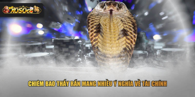 Chiêm bao thấy rắn mang nhiều ý nghĩa về tài chính