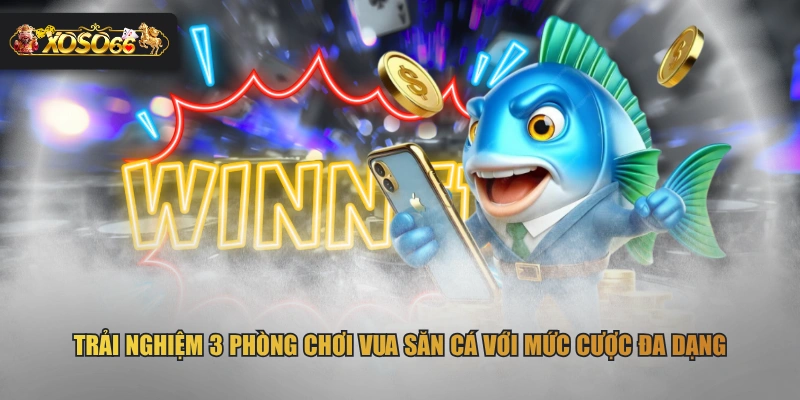 Trải nghiệm 3 phòng chơi Vua Săn Cá với mức cược đa dạng